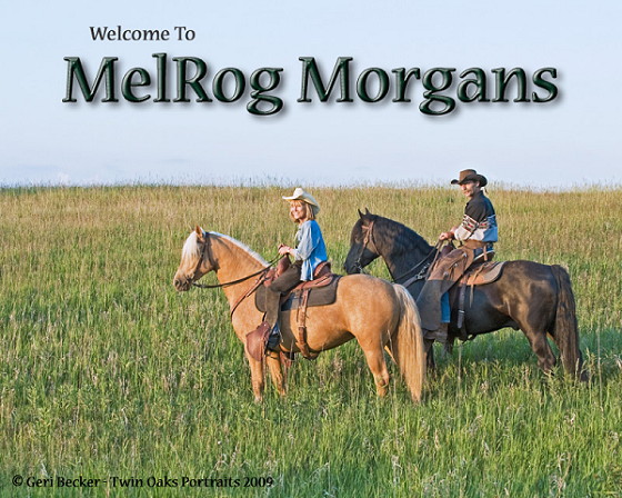 melrog morgans